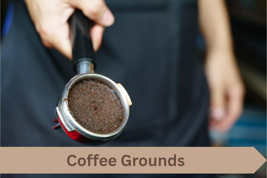 Coffee Grounds